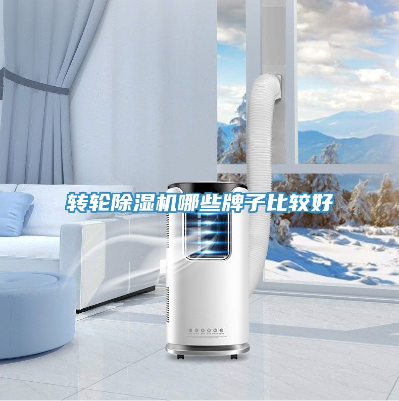 轉(zhuǎn)輪除濕機哪些牌子比較好
