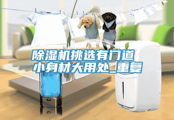 除濕機挑選有門道 小身材大用處_重復(fù)