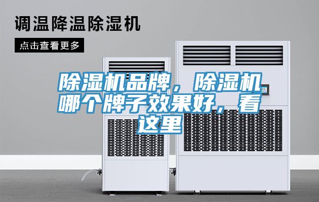 除濕機(jī)品牌，除濕機(jī)哪個(gè)牌子效果好，看這里