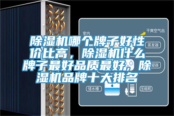 除濕機哪個牌子好性價比高，除濕機什么牌子最好品質(zhì)最好，除濕機品牌十大排名