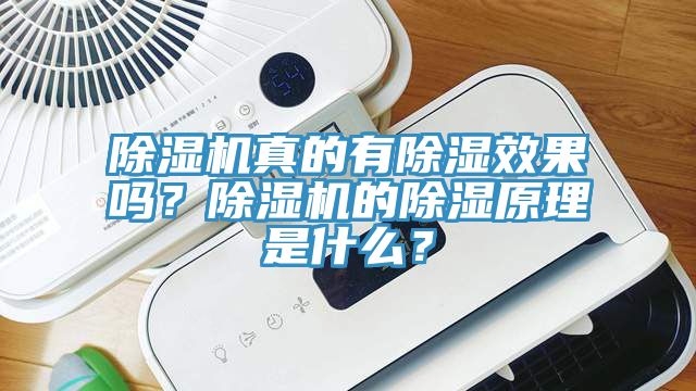 除濕機(jī)真的有除濕效果嗎？除濕機(jī)的除濕原理是什么？