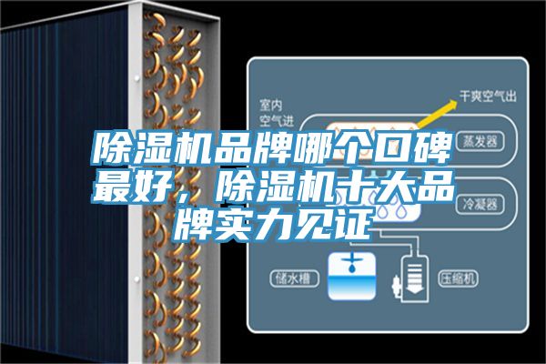 除濕機(jī)品牌哪個(gè)口碑最好，除濕機(jī)十大品牌實(shí)力見證