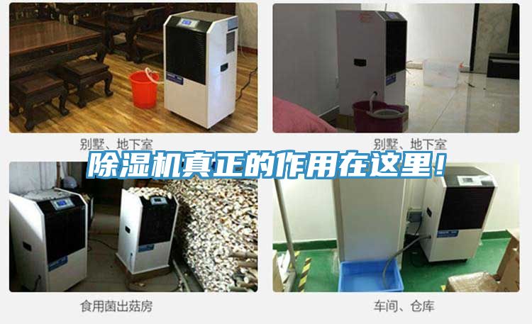 除濕機(jī)真正的作用在這里！