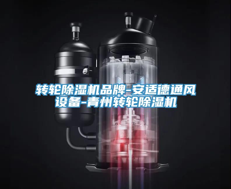 轉(zhuǎn)輪除濕機品牌-安適德通風設(shè)備-青州轉(zhuǎn)輪除濕機