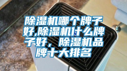 除濕機(jī)哪個牌子好,除濕機(jī)什么牌子好，除濕機(jī)品牌十大排名