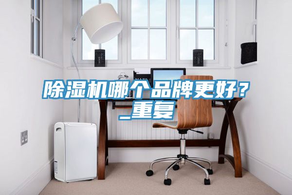 除濕機哪個品牌更好？_重復