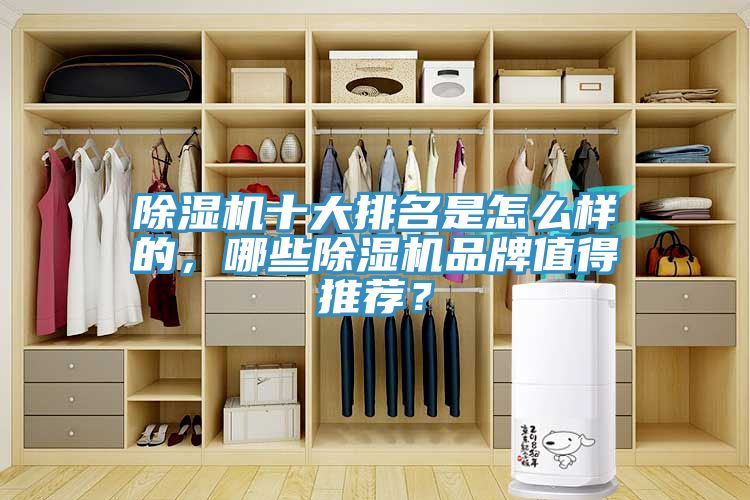 除濕機十大排名是怎么樣的，哪些除濕機品牌值得推薦？