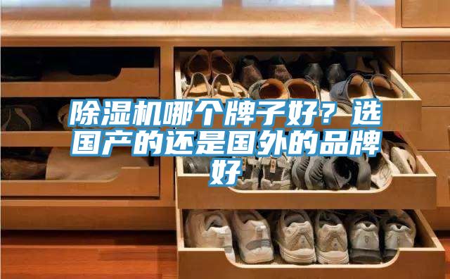 除濕機(jī)哪個牌子好？選國產(chǎn)的還是國外的品牌好