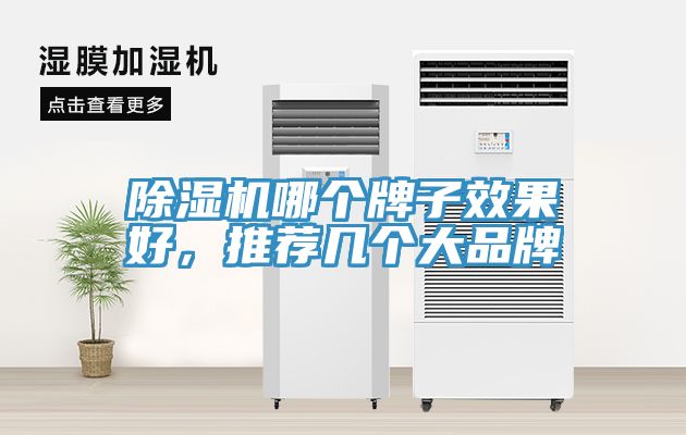 除濕機(jī)哪個牌子效果好，推薦幾個大品牌