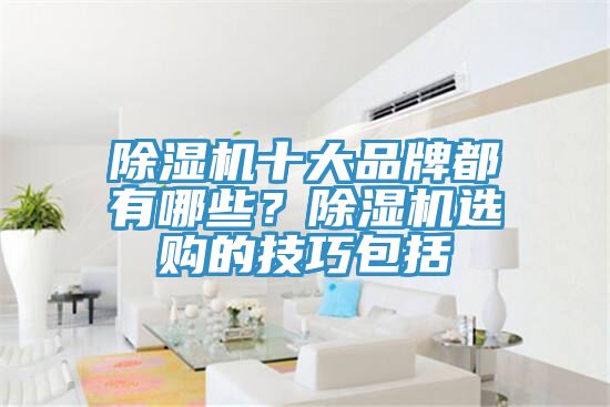 除濕機(jī)十大品牌都有哪些？除濕機(jī)選購(gòu)的技巧包括