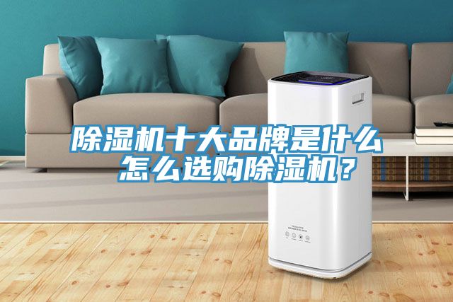 除濕機(jī)十大品牌是什么 怎么選購除濕機(jī)？