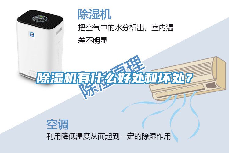 除濕機(jī)有什么好處和壞處？