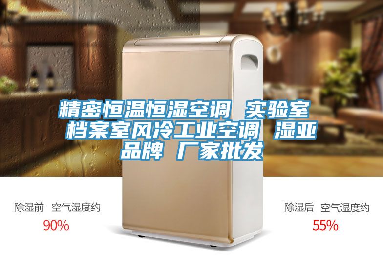 精密恒溫恒濕空調(diào) 實(shí)驗(yàn)室 檔案室風(fēng)冷工業(yè)空調(diào) 濕亞品牌 廠家批發(fā)