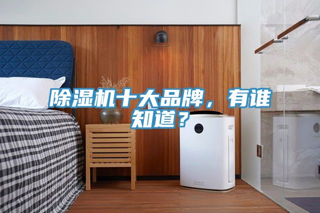 除濕機(jī)十大品牌，有誰(shuí)知道？