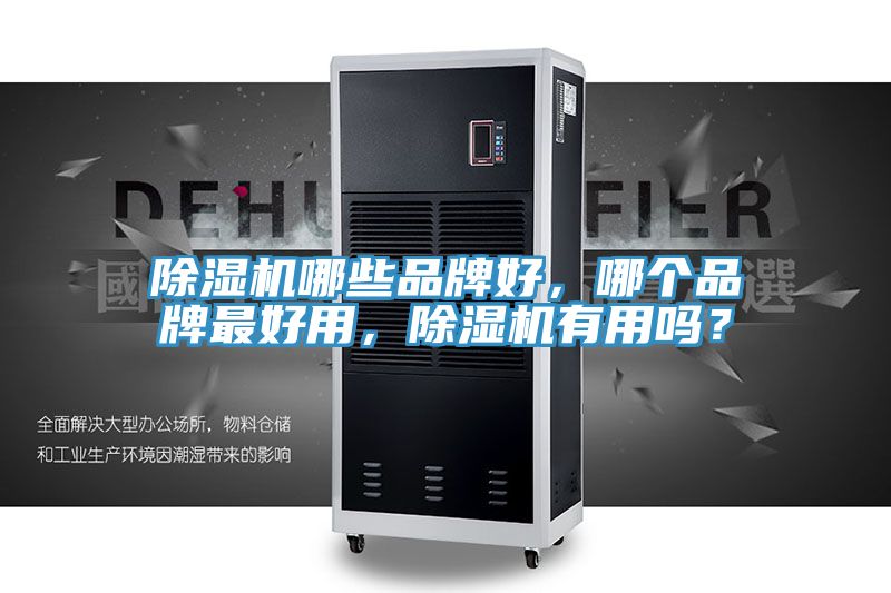除濕機(jī)哪些品牌好，哪個品牌最好用，除濕機(jī)有用嗎？