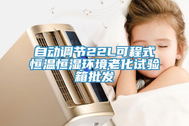 自動調節(jié)22L可程式恒溫恒濕環(huán)境老化試驗箱批發(fā)
