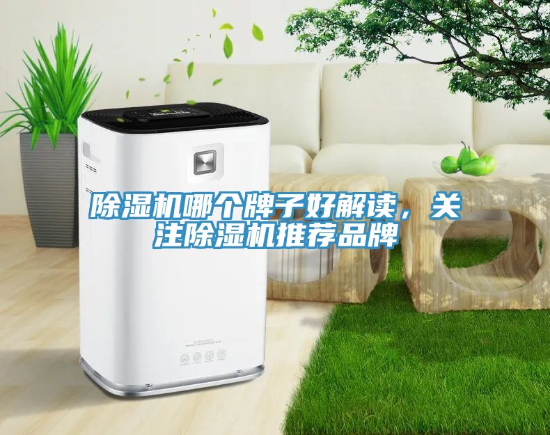 除濕機(jī)哪個(gè)牌子好解讀，關(guān)注除濕機(jī)推薦品牌