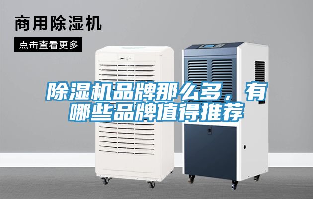 除濕機(jī)品牌那么多，有哪些品牌值得推薦