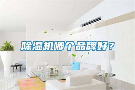 除濕機哪個品牌好？