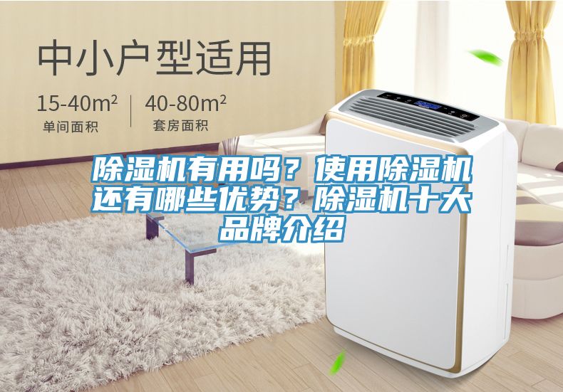 除濕機(jī)有用嗎？使用除濕機(jī)還有哪些優(yōu)勢(shì)？除濕機(jī)十大品牌介紹