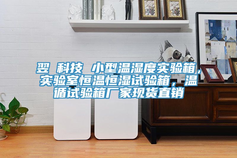 翌昇科技 小型溫濕度實(shí)驗(yàn)箱，實(shí)驗(yàn)室恒溫恒濕試驗(yàn)箱，溫循試驗(yàn)箱廠家現(xiàn)貨直銷