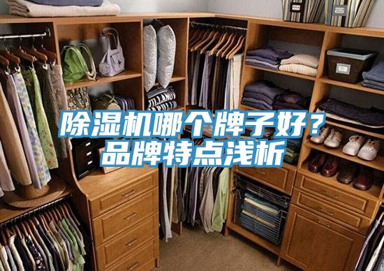 除濕機(jī)哪個(gè)牌子好？品牌特點(diǎn)淺析