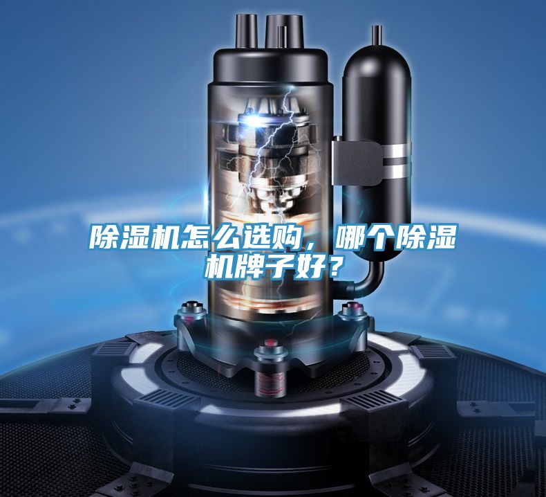 除濕機怎么選購，哪個除濕機牌子好？