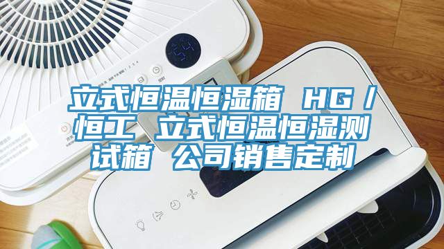 立式恒溫恒濕箱 HG／恒工 立式恒溫恒濕測(cè)試箱 公司銷(xiāo)售定制