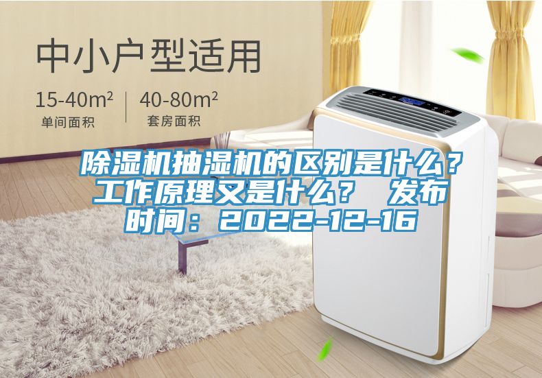 除濕機(jī)抽濕機(jī)的區(qū)別是什么？工作原理又是什么？ 發(fā)布時間：2022-12-16