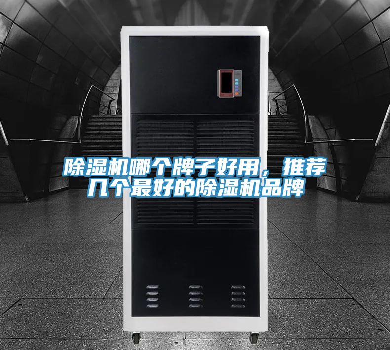 除濕機(jī)哪個(gè)牌子好用，推薦幾個(gè)最好的除濕機(jī)品牌