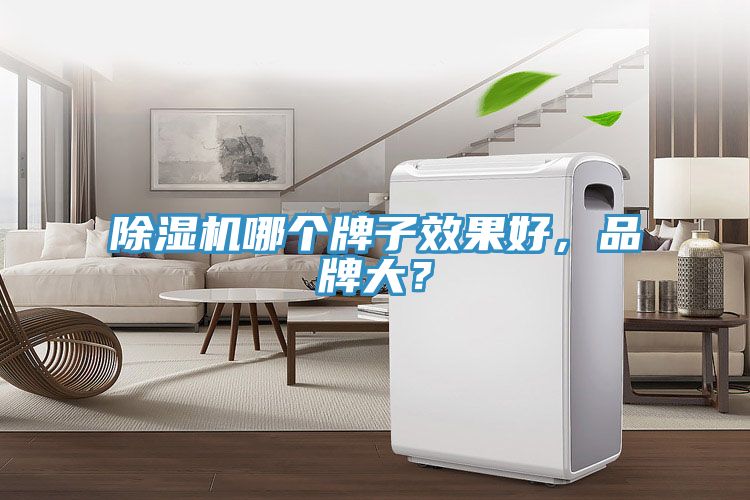 除濕機(jī)哪個牌子效果好，品牌大？