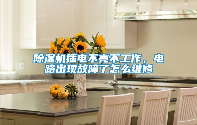 除濕機插電不亮不工作，電路出現(xiàn)故障了怎么維修