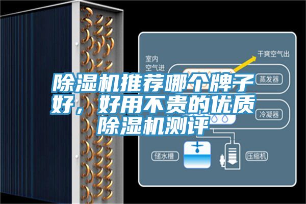 除濕機推薦哪個牌子好，好用不貴的優(yōu)質除濕機測評