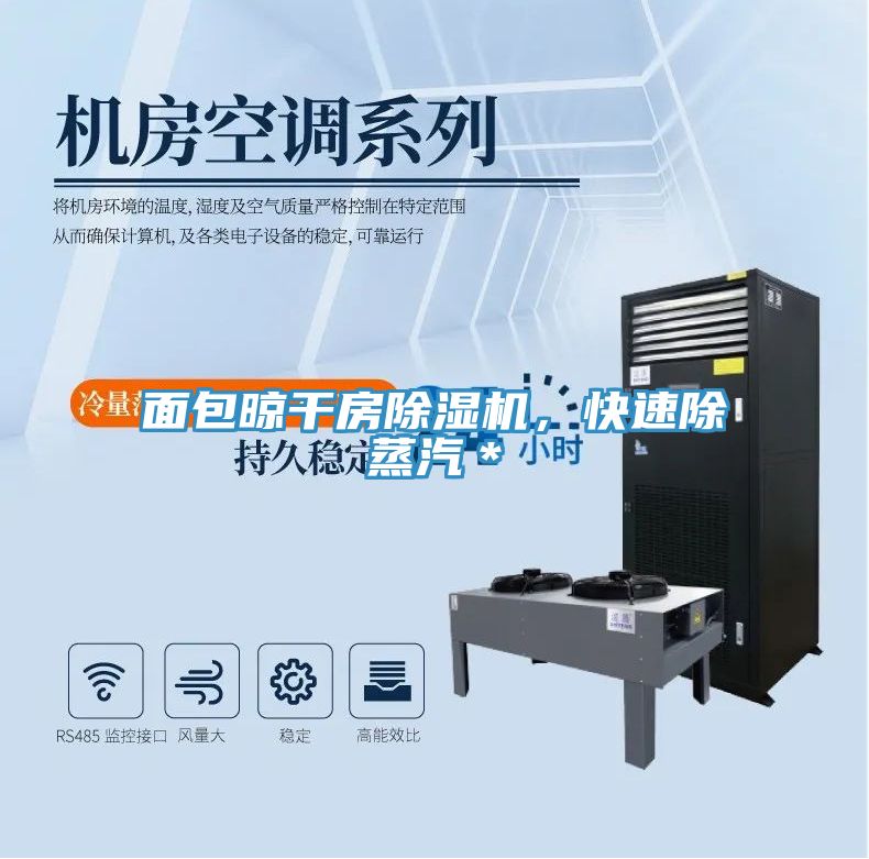 面包晾干房除濕機(jī)，快速除蒸汽＊