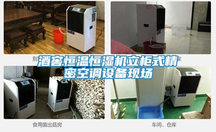 酒窖恒溫恒濕機(jī)立柜式精密空調(diào)設(shè)備現(xiàn)場