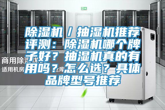 除濕機／抽濕機推薦評測：除濕機哪個牌子好？抽濕機真的有用嗎？怎么選？具體品牌型號推薦