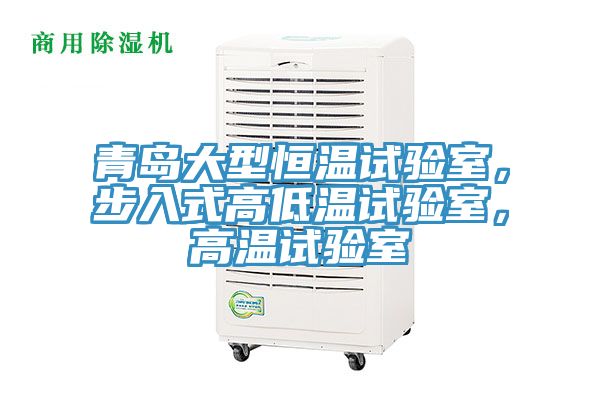 青島大型恒溫試驗(yàn)室，步入式高低溫試驗(yàn)室，高溫試驗(yàn)室