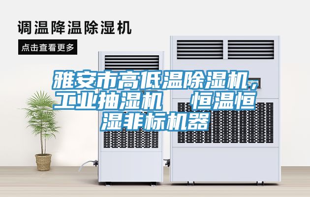雅安市高低溫除濕機，工業(yè)抽濕機  恒溫恒濕非標機器