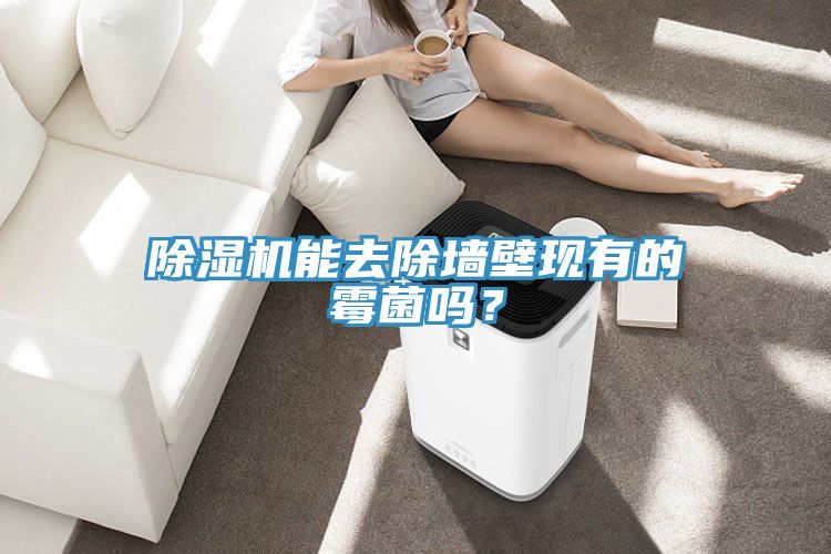 除濕機(jī)能去除墻壁現(xiàn)有的霉菌嗎？