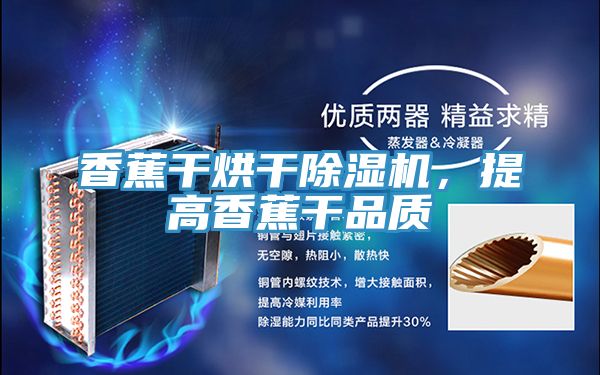 香蕉干烘干除濕機，提高香蕉干品質(zhì)