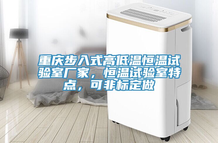 重慶步入式高低溫恒溫試驗(yàn)室廠家，恒溫試驗(yàn)室特點(diǎn)，可非標(biāo)定做