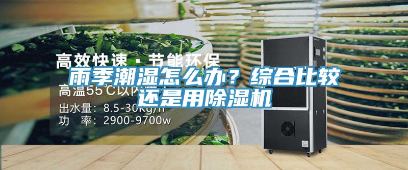 雨季潮濕怎么辦？綜合比較還是用除濕機(jī)