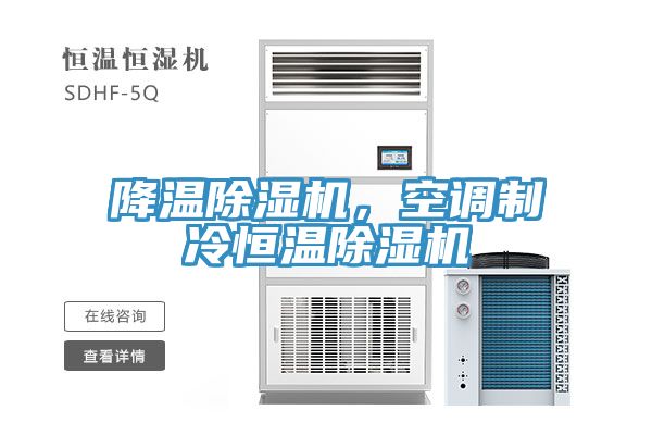 降溫除濕機(jī)，空調(diào)制冷恒溫除濕機(jī)