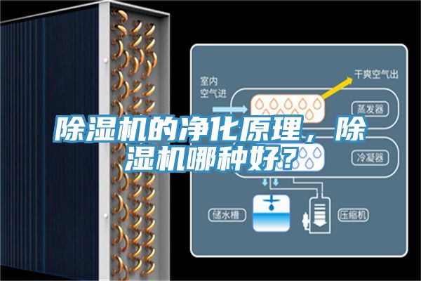除濕機的凈化原理，除濕機哪種好？