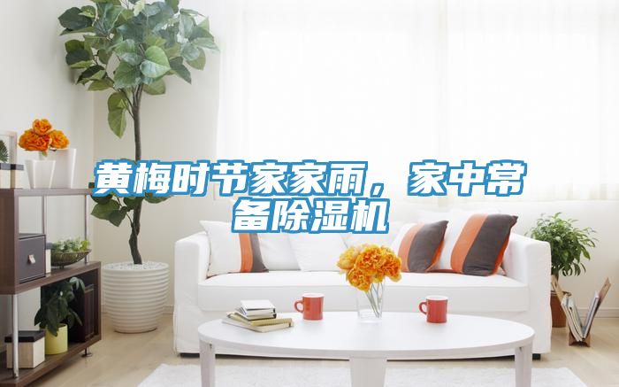 黃梅時(shí)節(jié)家家雨，家中常備除濕機(jī)