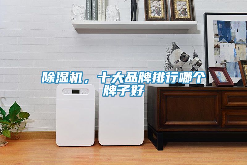 除濕機(jī)，十大品牌排行哪個(gè)牌子好