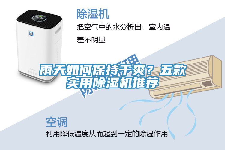 雨天如何保持干爽？五款實(shí)用除濕機(jī)推薦