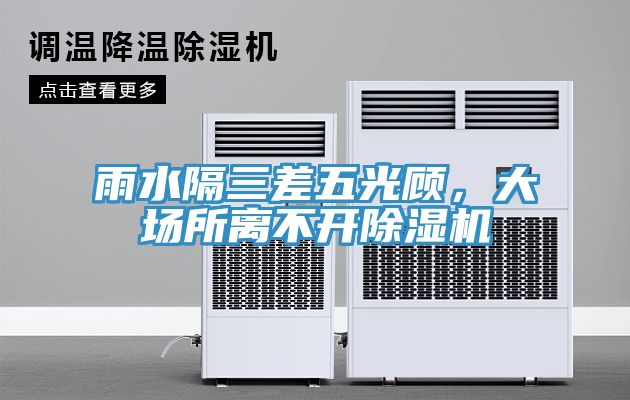 雨水隔三差五光顧，大場所離不開除濕機