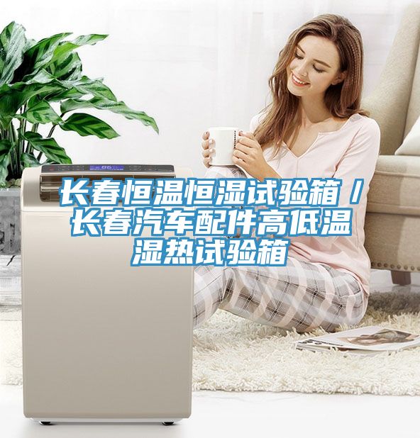 長(zhǎng)春恒溫恒濕試驗(yàn)箱／長(zhǎng)春汽車配件高低溫濕熱試驗(yàn)箱