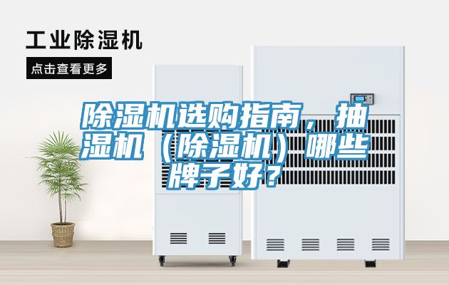 除濕機選購指南，抽濕機（除濕機）哪些牌子好？